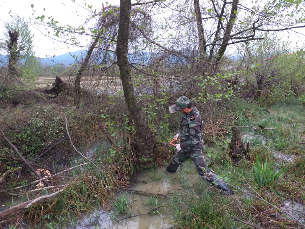 رفع تصرف زمین های ملی در شفت