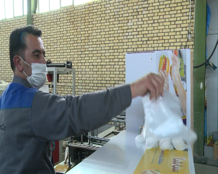 افزایش سه برابری تولید دستکش در چهارمحال و بختیاری افزایش سه برابری تولید دستکش در چهارمحال و بختیاری