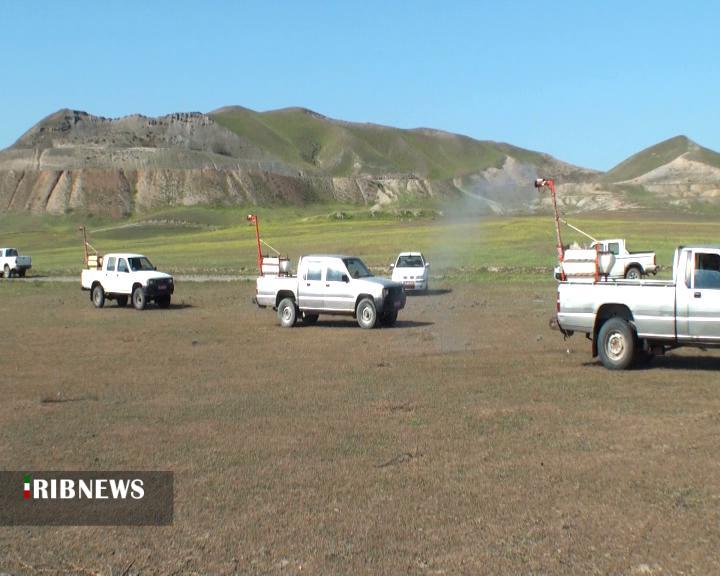 سمپاشی 5هزار هکتار از مراتع دشت مغان بر علیه آفت ملخ