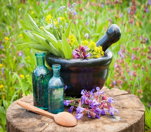 سود سرشار با کیسه‌ای پر از گیاه