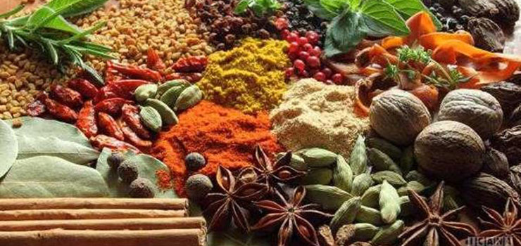 سود سرشار با کیسه‌ای پر از گیاه