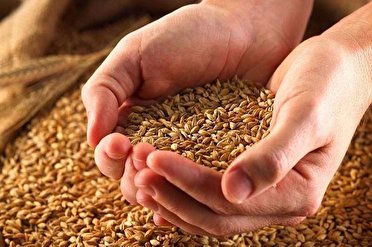 جمع آوری زکات فطریه در مهاباد توسط ۱۲۰ عامل زکات