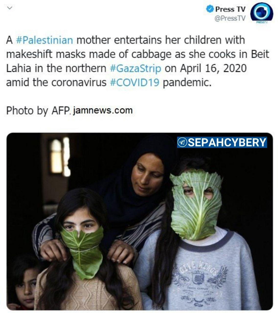 ماسک کلم در فلسطین