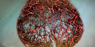 روش جدید تشخیص زودهنگام لختههای خونی روش جدید تشخیص زودهنگام لختههای خونی