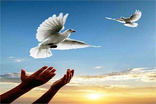 اعطای وام ۲۰ میلیون تومانی برای آزادی زندانیان نیازمند یزدی