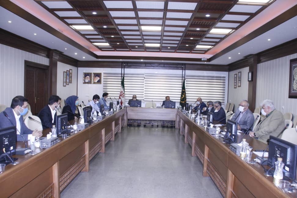 کشت گندم دوروم در کشور توسعه مییابد کشت گندم دوروم در کشور توسعه مییابد