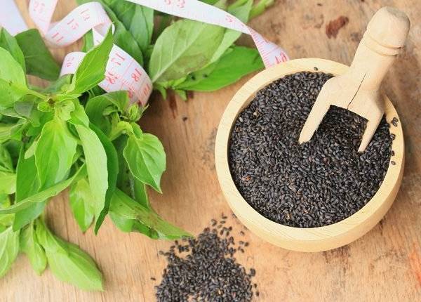 روش کاشت و پرورش ریحان در گلدان و باغچه