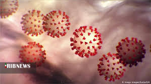 شناسایی ۱۲ بیمار جدید مبتلا به کرونا در ۲۴ ساعت گذشته