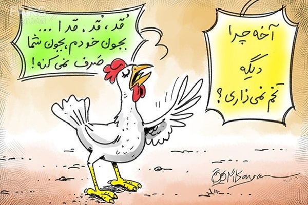 اندر احوالات تخم مرغ در فضای مجازی اندر احوالات تخم مرغ در فضای مجازی