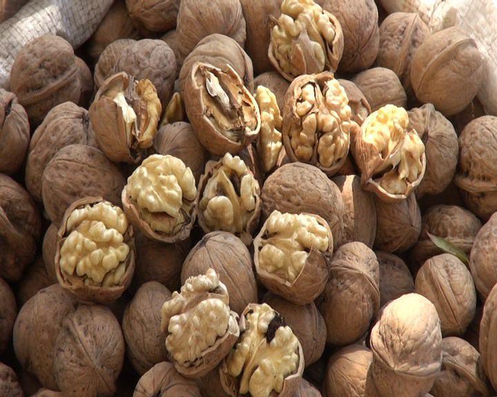 پیش بینی تولید ۴۰۰ تنی گردو در  شهرستان نور