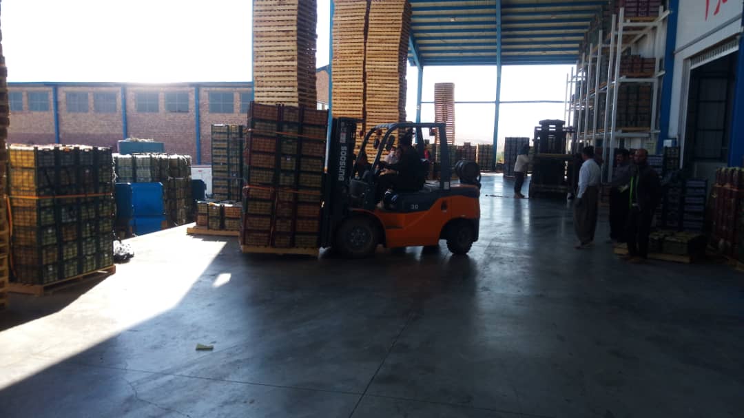 برچسب خارجی بر دسترنج باغدار ایرانی