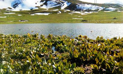 جاذبه های گردشگری اردبیل (قسمت ششم؛ دریاچه ها)