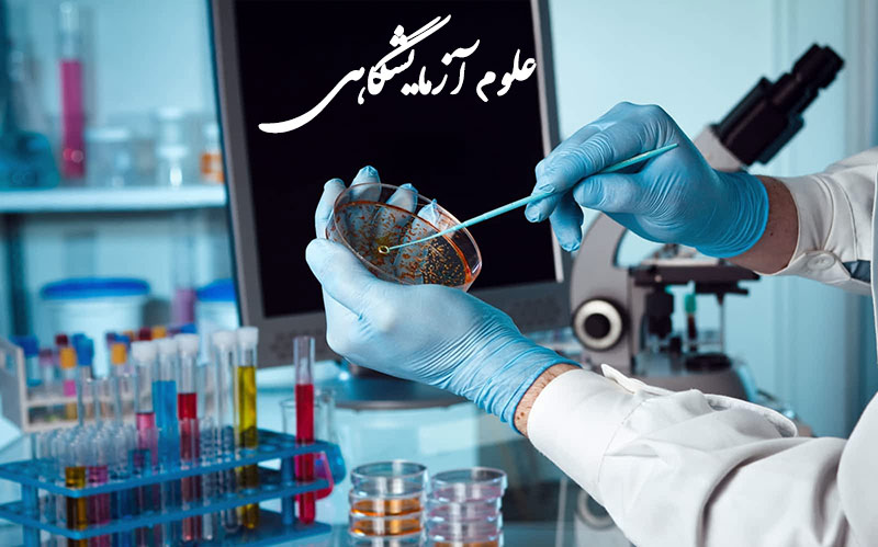 پرکارترین و بیکارترین رشتههای دانشگاهی پرکارترین و بیکارترین رشتههای دانشگاهی