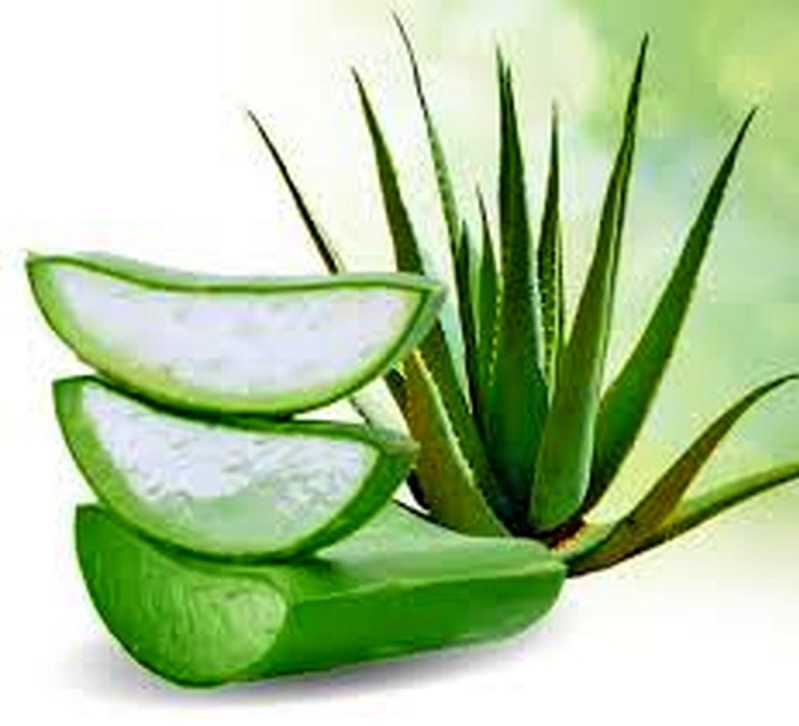 شربت آلوئه ورا؛ نوشیدنی شگفت انگیز