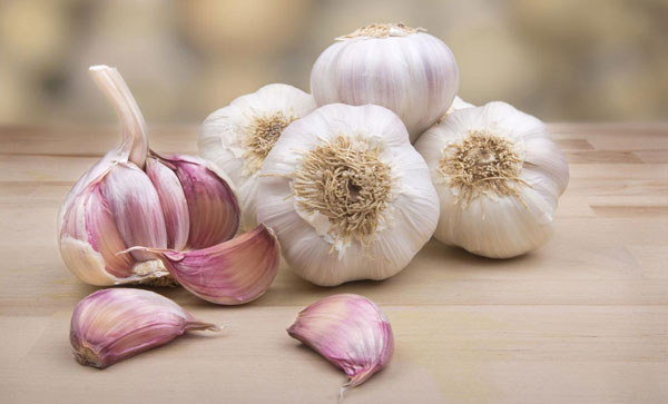 عوارض خوردن سیر برای برخی افراد