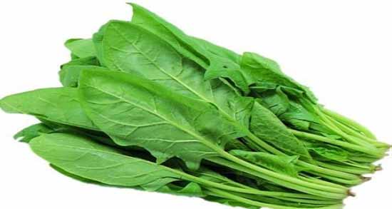 تقويت ایمنی بدن با چند خوراکی ساده