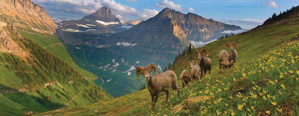 ولایت بدخشان افغانستان کجاست و چه اهمیتی دارد؟ ولایت بدخشان افغانستان کجاست و چه اهمیتی دارد؟