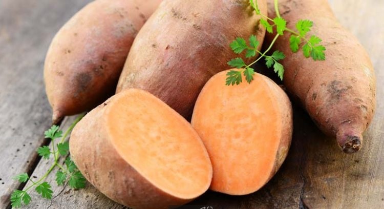 مواد غذایی مهم برای مقابله با عفونتهای فصلی مواد غذایی مهم برای مقابله با عفونتهای فصلی