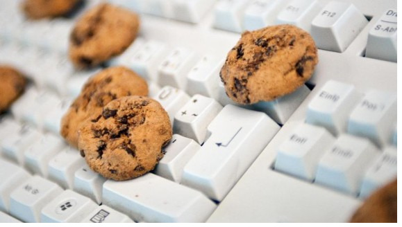 کدام کوکیها را هنگام وبگردی نباید نادیده گرفت ؟ انواع کوکیها