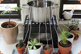 آبیاری هوشمند گیاهان در زمان مسافرت آبیاری گیاهان با نخ کاموا