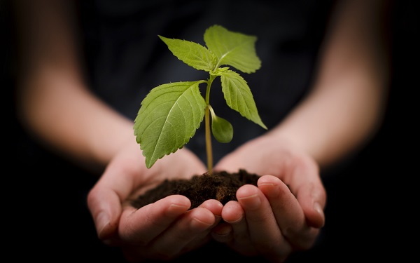 چرا از پولمان به دیگران ببخشیم