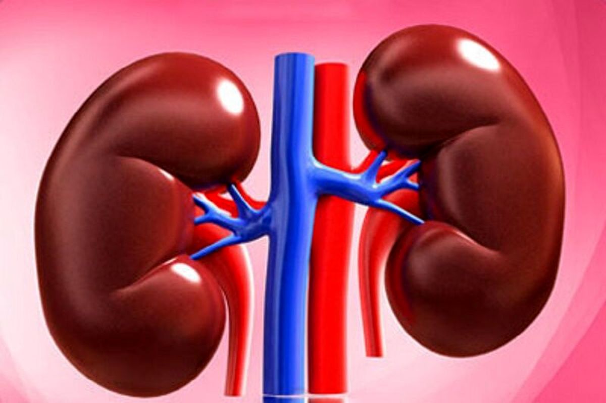 ضرر آب جوشیده برای کلیه‌ها