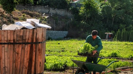 صرفه جویی ۹۲ درصدی آب در تولید علوفه با ساخت سامانه کشت بدون خاک صرفه جویی ۹۲ درصدی آب در تولید علوفه با ساخت سامانه کشت بدون خاک