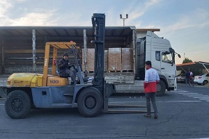 ۵۵ تن آنتی بیوتیک وارداتی هندی در راه بازار مصرف