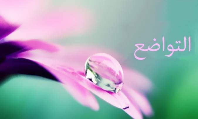 اهمیت تواضع