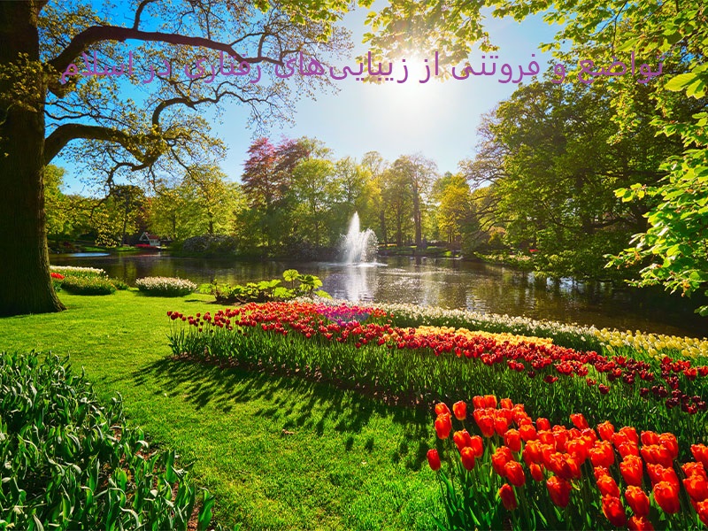 تواضع از اخلاق پیامبران است