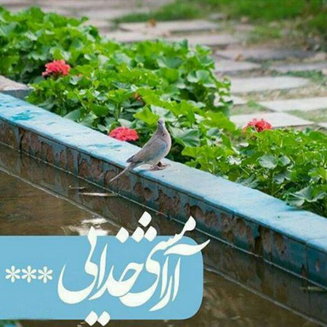 نگران نباشید و غصه نخورید خدا می بیند و می شنود +فیلم