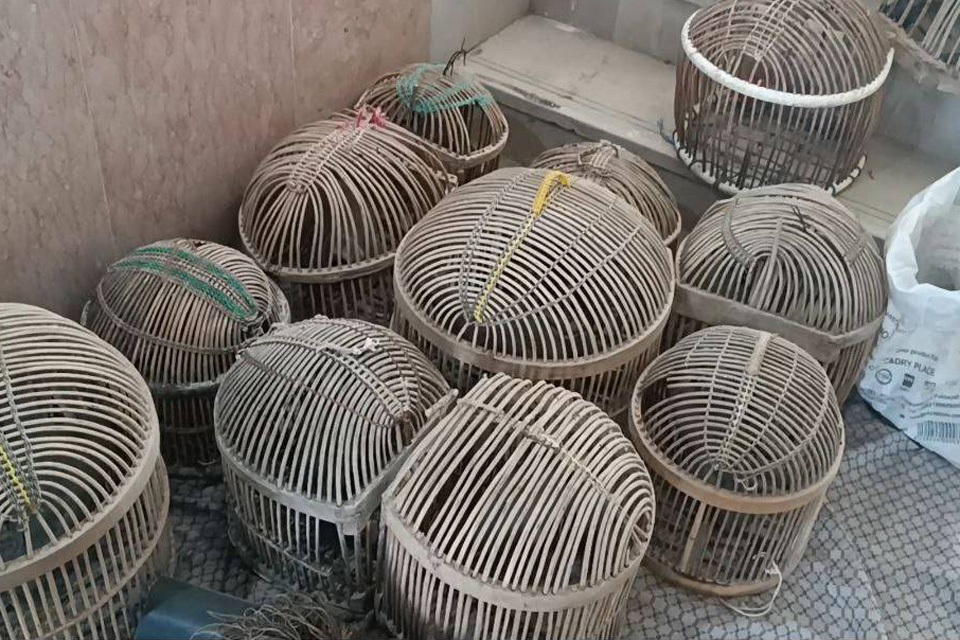 دستگیری متخلف زندەگیر کبک در اشنویە دستگیری متخلف زندەگیر کبک در اشنویە