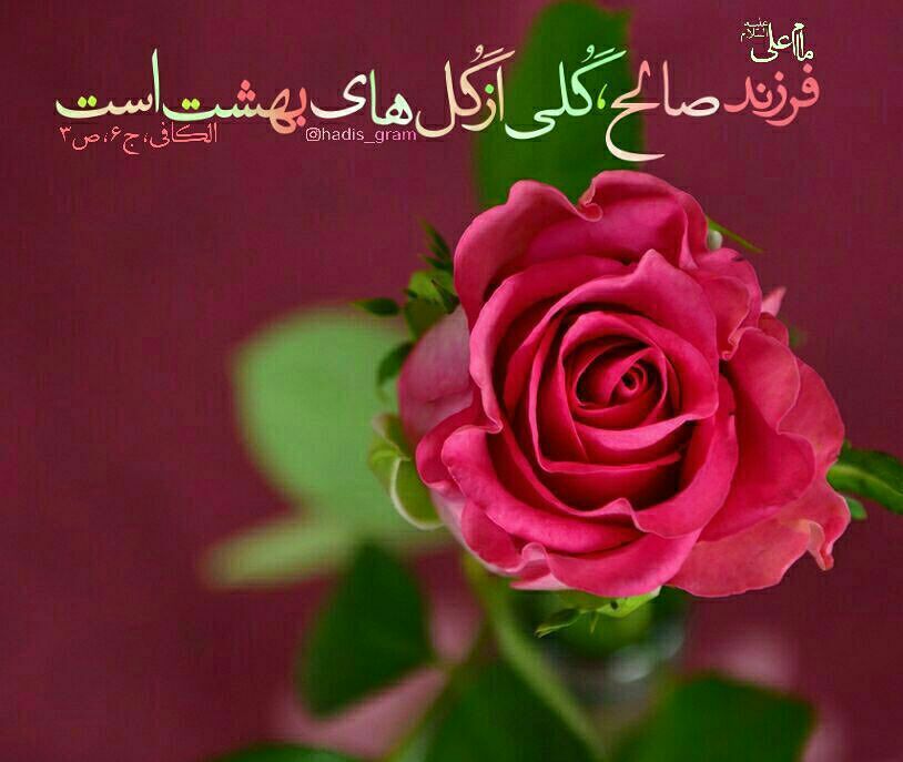 فرزندی صالح