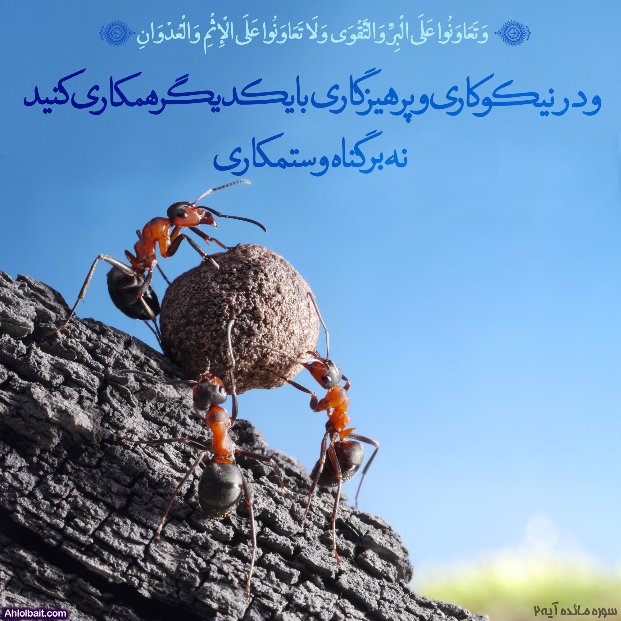 مشکل شما مشکل من هم هست