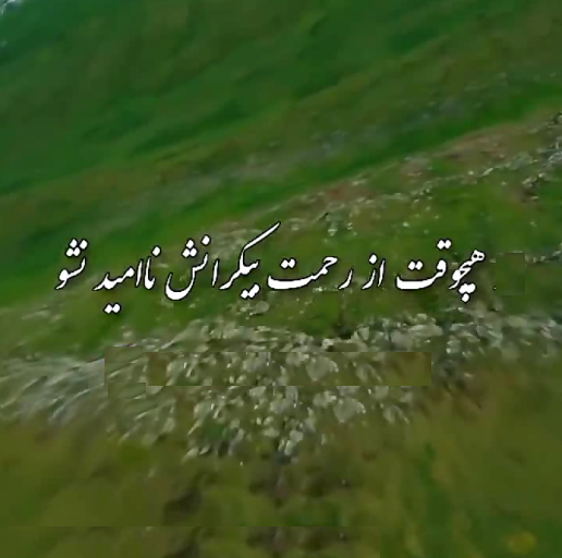 ناامیدی از منظر قرآن