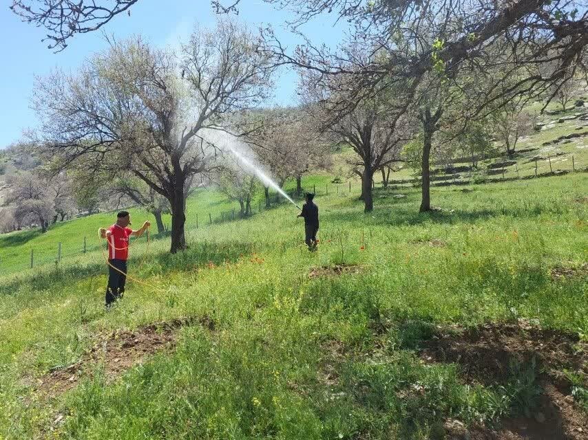 لزوم بسیج همه امکانات برای مبارزه با آفت