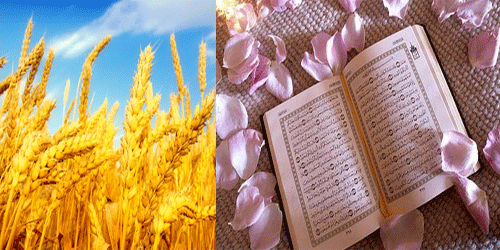 میخواهید خیر و برکت زندگیتان زیاد شود حتما بخوانید؟! میخواهید خیر و برکت زندگیتان زیاد شود حتما بخوانید؟!