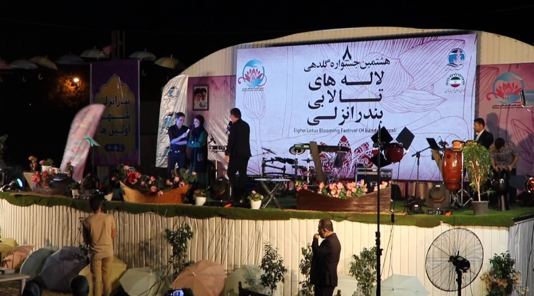 جشنواره گل دهی لاله‌های تالابی بندرانزلی