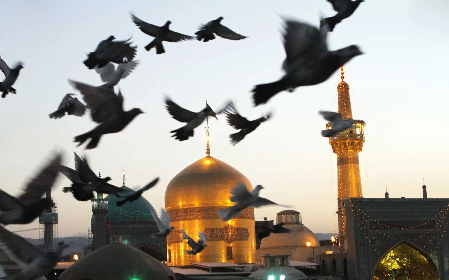 چرا امام هشتم علیه السلام را امام رئوف می‌نامند؟