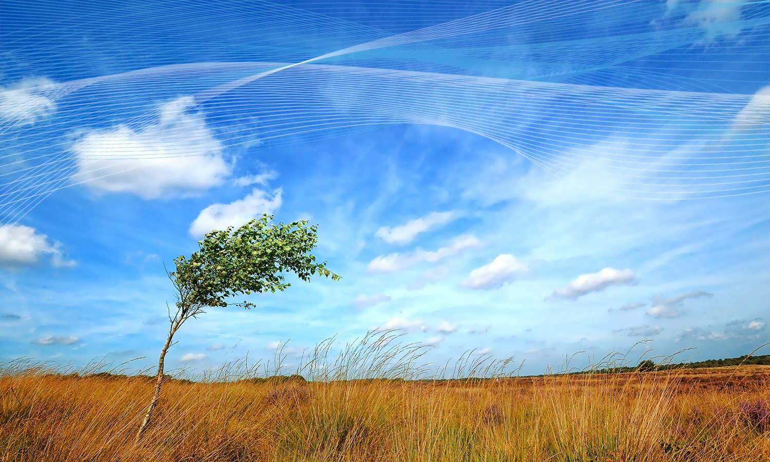 افزایش رطوبت و وقوع گرد و غبار، پدیده‌های غالب جوی در خوزستان