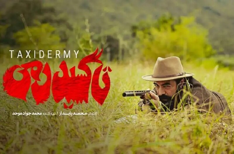 جای پای محیط زیست در فیلم های جشنواره فیلم فجر