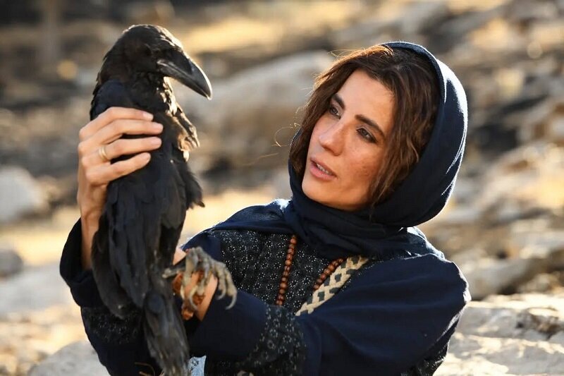 جای پای محیط زیست در فیلم های جشنواره فیلم فجر