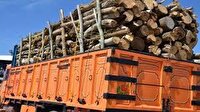کشف 45 تن چوب قاچاق در مهاباد