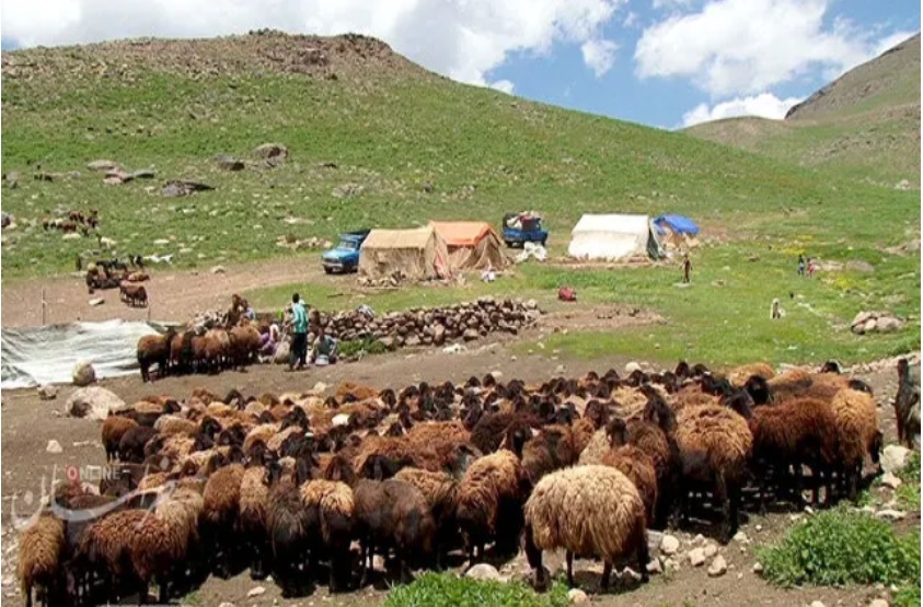 خدمات رسانی  به ۸ هزار و ۲۰۰ خانوار عشایری در خراسان رضوی