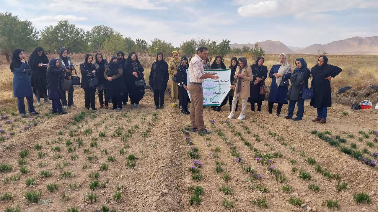 بازدید آموزشی بانوان شهر بهمن از مزرعه زعفران