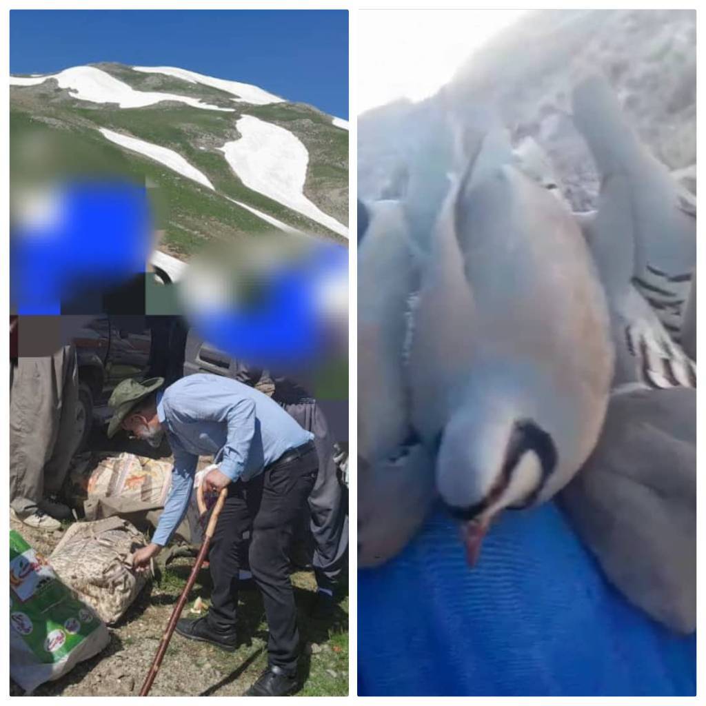 دستگیری متخلفین شکار و صید در مناطق کوهستانی شهرستان اشنویه