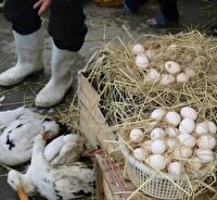 مکان دپوی موقت زباله‌های کوچصفهان به بازارچه محلی تبدیل شد