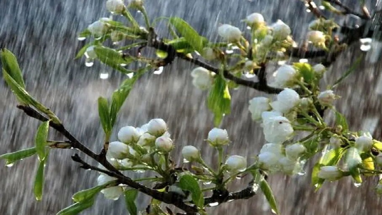 تداوم بارش‌ها در آذربایجان شرقی