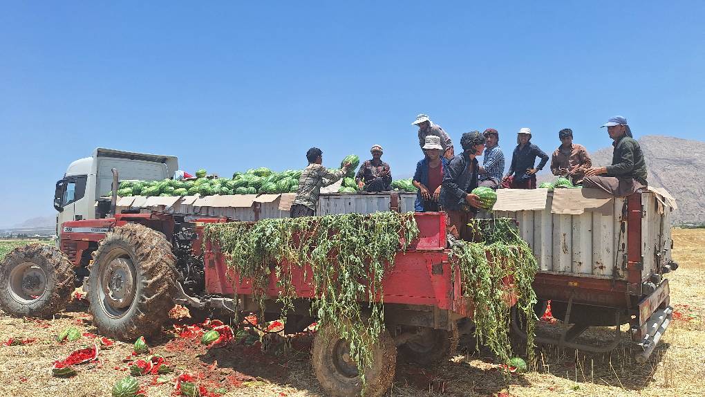 حمل محصول هندوانه کاران گچساران به سراسر کشور