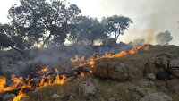 آتش‌سوزی ۱۲ ساعته در منطقه کوه چنار مهارلو